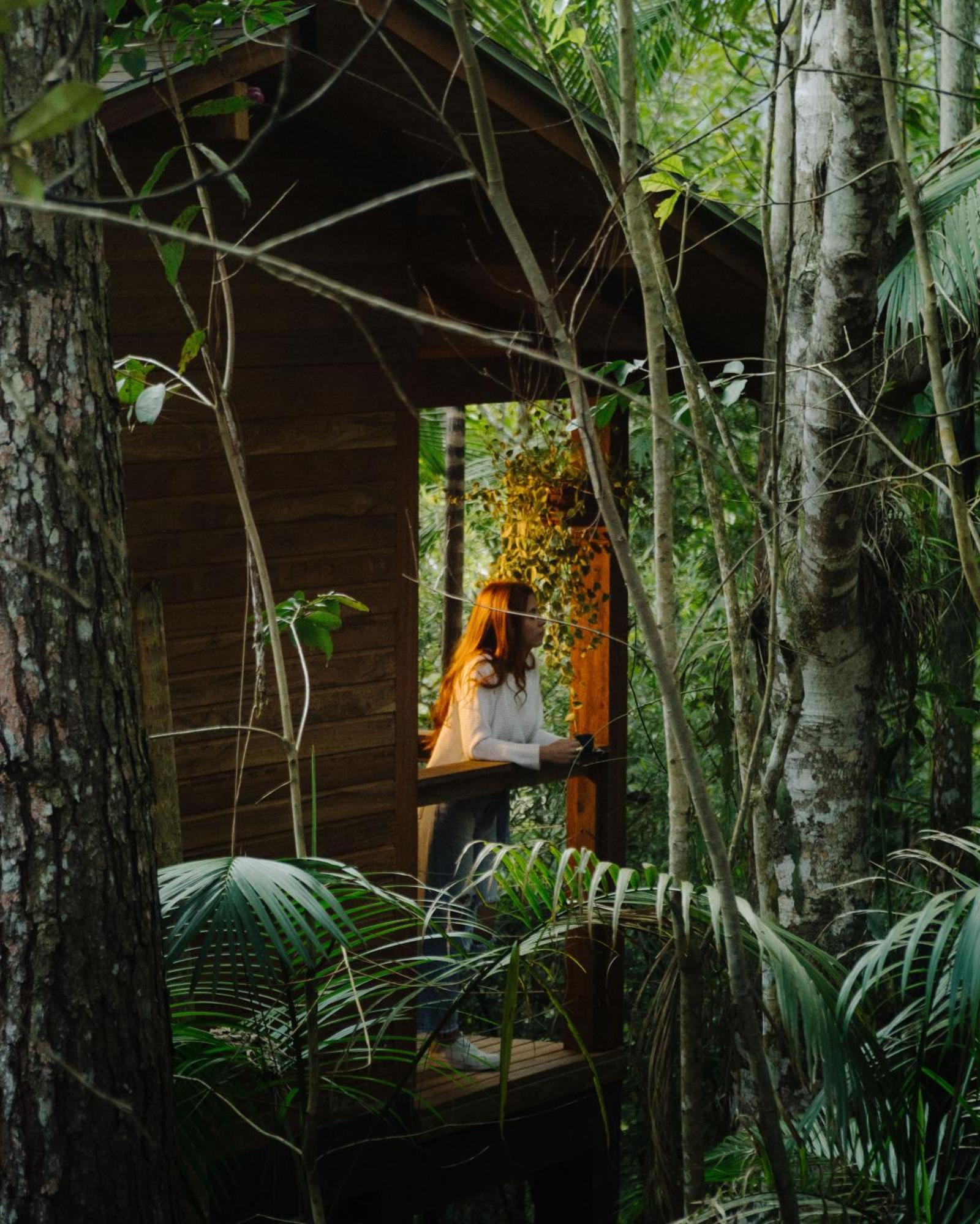 Cabana Equipada Em Meio A Natureza Em Pomerode Exteriér fotografie